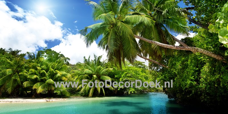 FotoDecorDoek | FotoDoek | DecorDoek | 8x4 | Tropisch eiland | Palmbomen | Zee | Strand | Buitenland | Highdisc