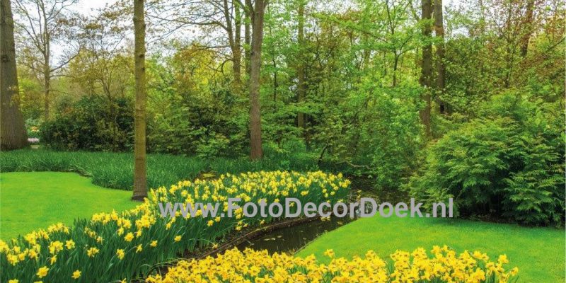 003 LentePark_Links 8x4 | Fotodoek | Highdisc