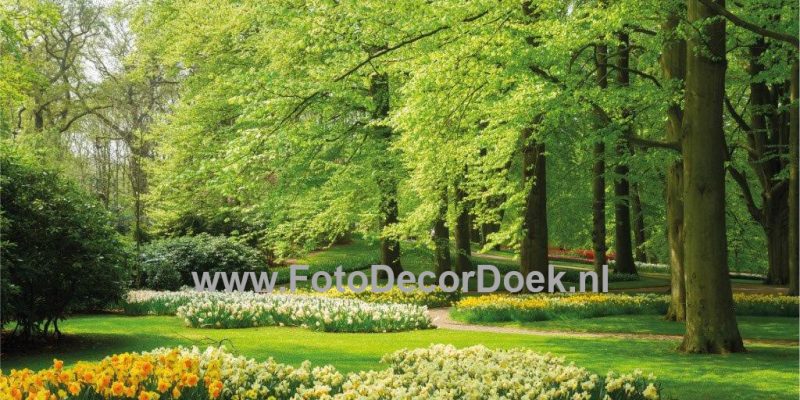 004 LentePark_Rechts 8x4 | Fotodoek | Highdisc