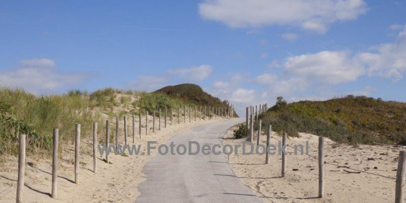 102 Zomer_Duinen 10x4 | Fotodoek | Highdisc