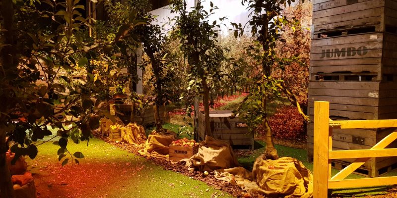 Bomen | Appelboom | Kuubskist | Krat | Tuin | Herfst | FotoDecorDoek | Fotodoek | Decordoek |  Highdisc