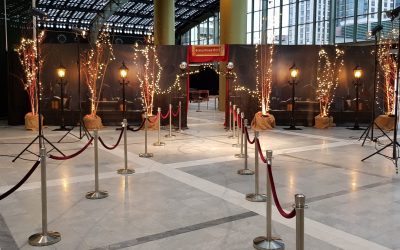 Piketpaaltje | Berken | Kerstverlichting | Wand | 3D wand | Decor | BruinCafé | Café | Lambrisering | Wandafscheiding | Highdisc