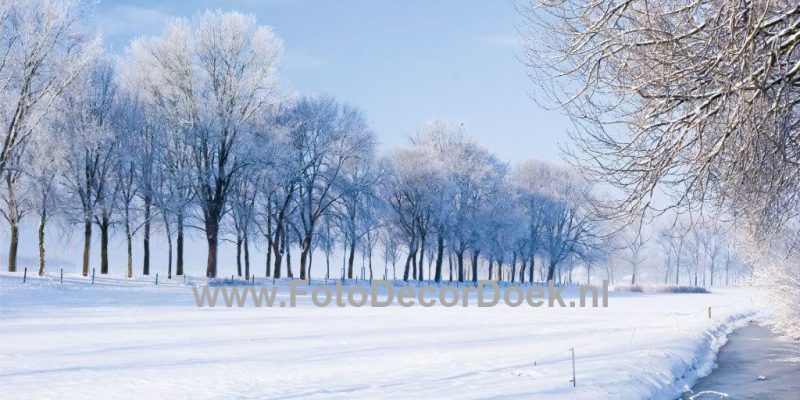 302 NL Winter_Dijk 8x4 | Fotodoek | Highdisc