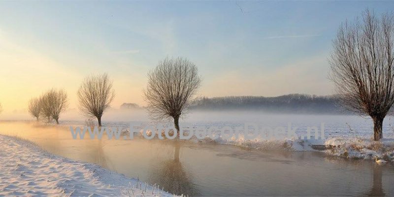 305 NL Winter_Wilgen 10x4 | Fotodoek | Highdisc