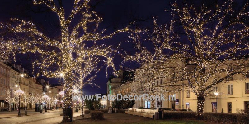 508 Verlichte_Bomen 8x4 | Fotodoek | Highdisc