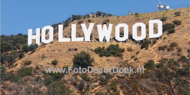 706 Hollywood 8x4 | Fotodoek | Highdisc