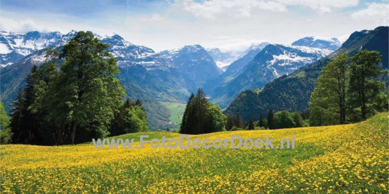 707 Alpen_in_de_zomer 8x4 | Fotodoek | Highdisc