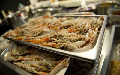 Gastronorm bak | Warmhouden | Catering | Horeca | Highdisc