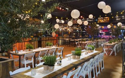 StelligStaal | Dinertafel | Bar | Statafel | Stoelen | Kruk | Italiaans | Olijfboom | Sfeerverliching | Mediterraans | Highdisc